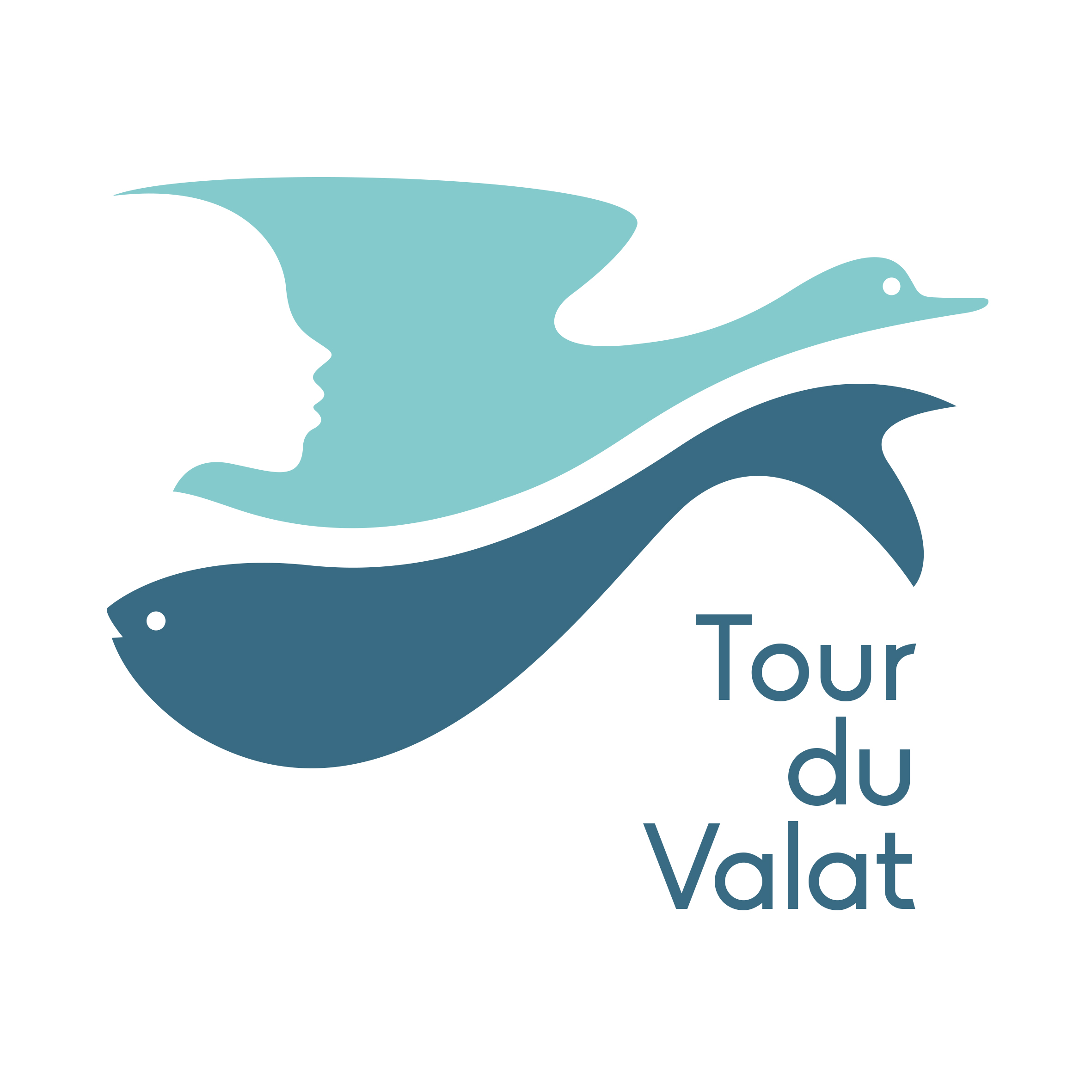 La Tour du Valat